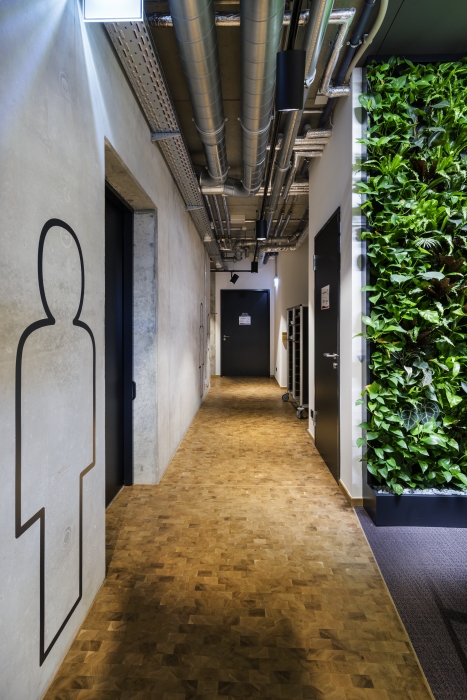 zalando Headquarter  Foodcourt Construction